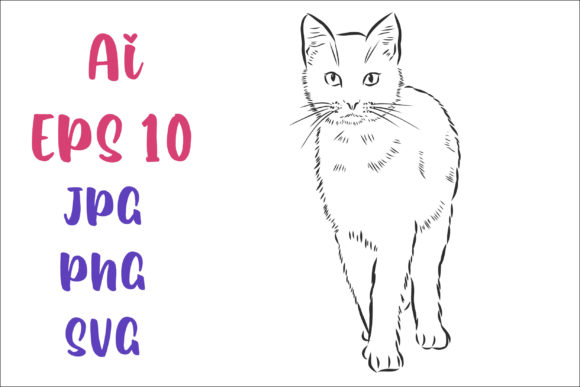 Cat Vector Sketch Review